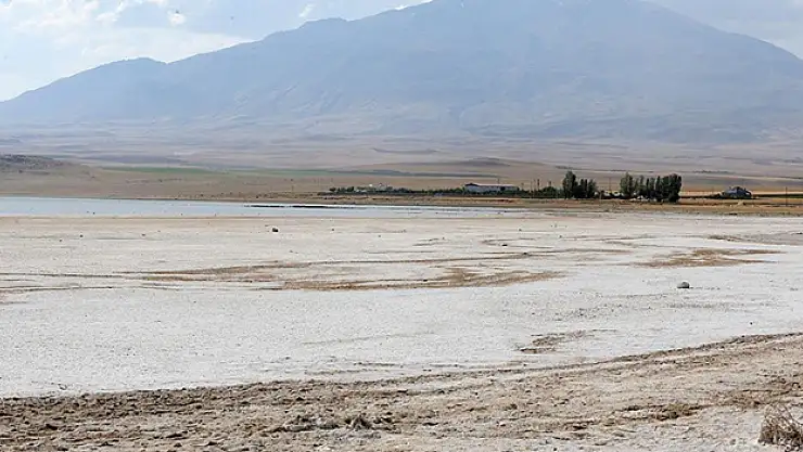 Suların çekildiği Arin Gölü'nün kıyıları otlağa dönüştü