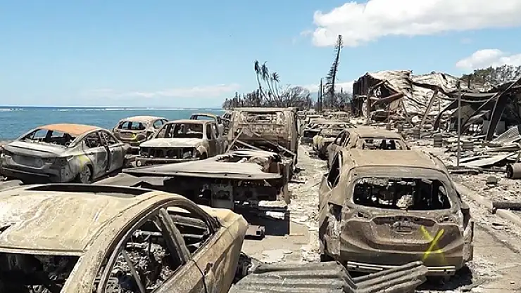 Hawaii'deki orman yangınlarında hayatını kaybedenlerin sayısı 99'a çıktı