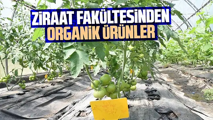 Ziraat Fakültesinden organik ürünler