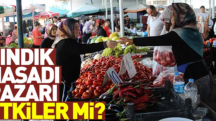 Fındık Hasadı pazarı etkiler mi?