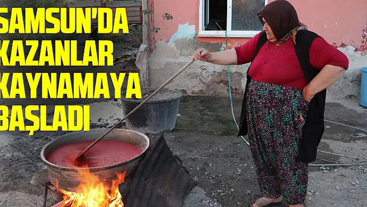 Samsun'da kış hazırlığı yapan kadınların salça mesaisi