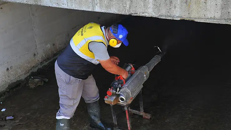 Samsun'da vektörlerle mücadele