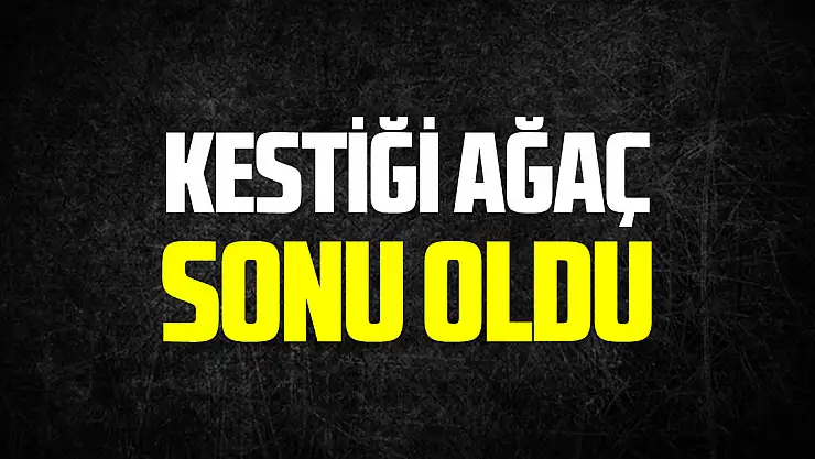 Kesilen ağacın altında kalan kadın hayatını kaybetti