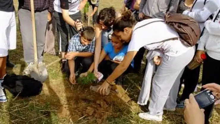 Üç ülkenin toprağıyla fidan diktiler