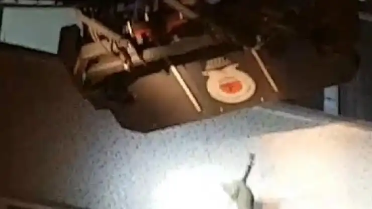 Kurtarılmak istenirken 4.kattan atlayan kedi yürekleri ağzına getirdi