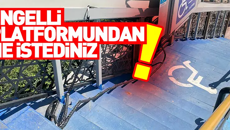 Engelli platformundan ne istediniz?