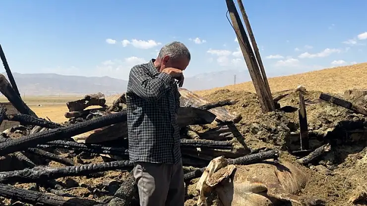 Yangında 7 ineğini kaybeden vatandaş hüngür hüngür ağladı