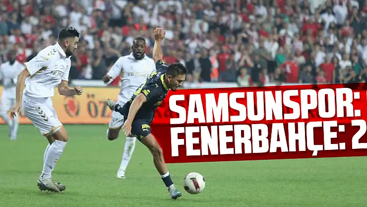 Y. Samsunspor: 0 - Fenerbahçe: 2