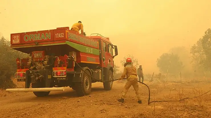 Çanakkale'de orman yangını çıktı