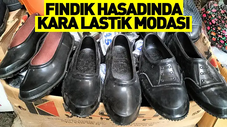 Fındık hasadında kara lastik modası