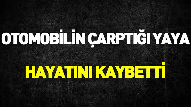 Samsun'da otomobilin çarptığı yaya hayatını kaybetti