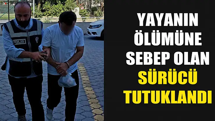 Yayanın ölümüne sebep olan sürücü tutuklandı