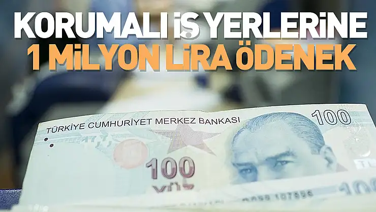 Aile ve Sosyal Hizmetler Bakanı Göktaş: Korumalı iş yerlerine 1 milyon 34 bin lira ödenek aktardık