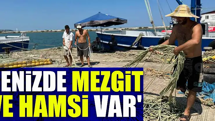 'Bu sene denizde mezgit ve hamsi var'