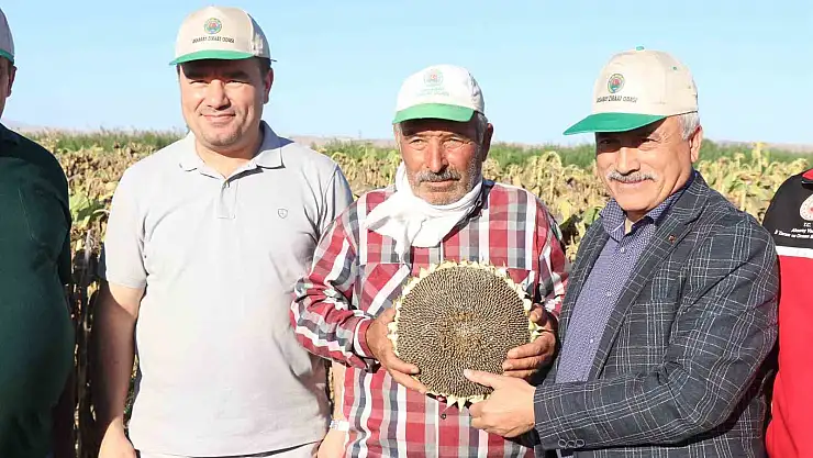 Ay çekirdeğinin kalbinde hasat başladı