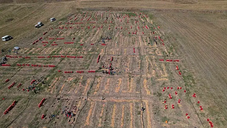 Soğanın başkenti Polatlı'da yazlık sökümünde sona gelindi