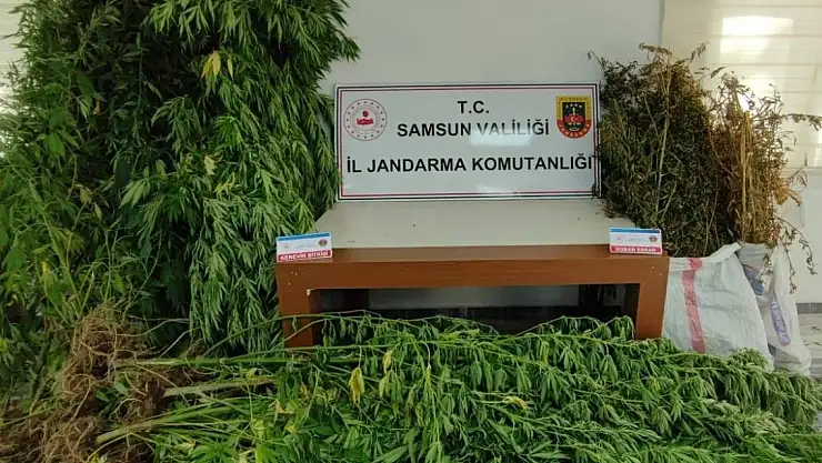 Samsun'da uyuşturucu operasyonunda iki şüpheli yakalandı