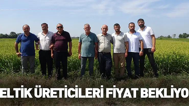 Çeltik üreticileri açıklanacak fiyatları bekliyor