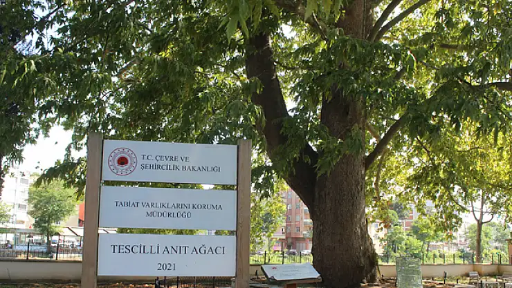 Serinlemek isteyenlerin uğrak noktası