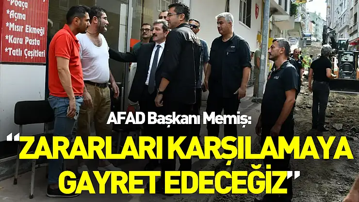 AFAD Başkanı Memiş: 'Devlet olarak vatandaşlarımızın zararlarını karşılamaya gayret edeceğiz'
