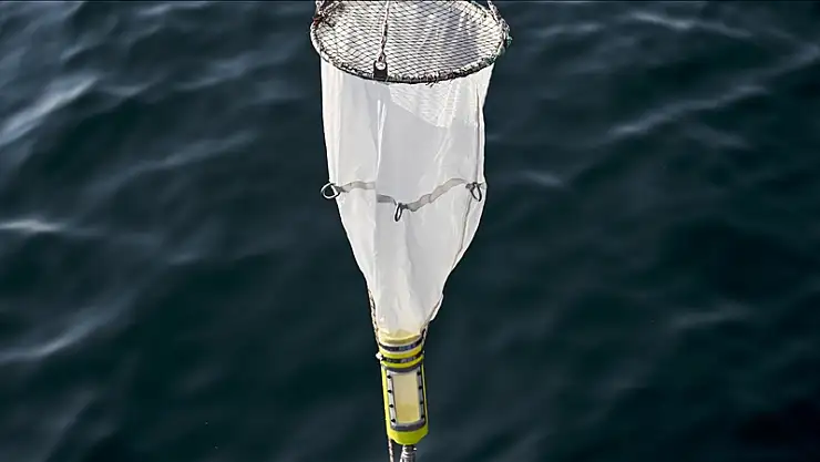 Marmara Denizi'nde oksijen azalıyor, sıcaklık artıyor