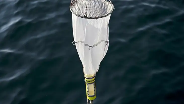 Marmara Denizi'nde oksijen azalıyor, sıcaklık artıyor