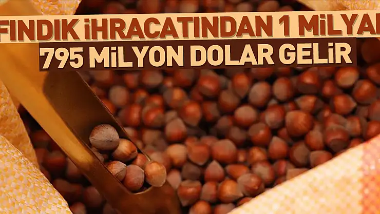 Türkiye'nin fındık ihracatı 1 milyar 795 milyon dolar olarak gerçekleşti