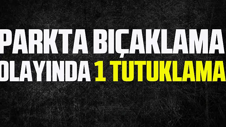 Parkta bıçaklama olayında 1 tutuklama