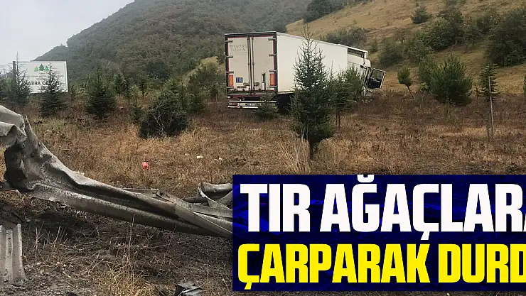 Samsun'da yoldan çıkan tır ağaçlara çarparak durdu