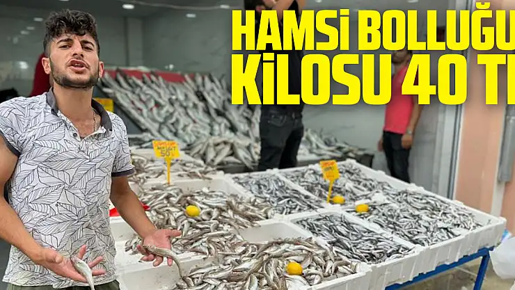 Karadeniz'de hamsi bolluğu: Kilosu 40 TL