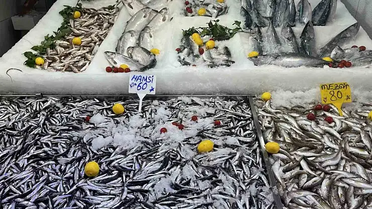 Balık sezonu hamsi bolluğuyla başladı