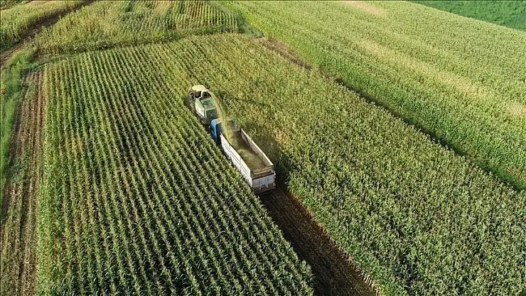 Tarım, ormancılık ve balıkçılık şirketlerinin varlıkları 5 yılda 3,5 katına çıktı