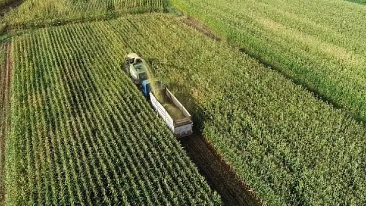 Çiftçilere bu yıl için ödenecek tarımsal destekler belli oldu