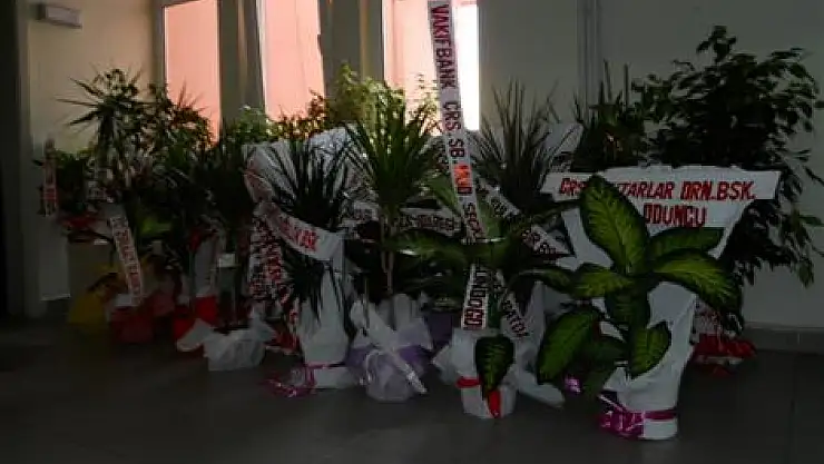 Kaymakamlık çiçek bahçesi oldu