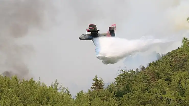 Bakan Yumaklı: Alanya'daki orman yangınının yaklaşık 190 hektarlık bir alanı etkilediğini ölçümledik