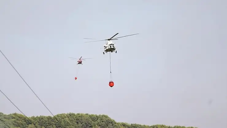 Alanya'daki orman yangını kontrol altına alındı