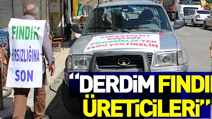 'Derdim fındık üreticileri'
