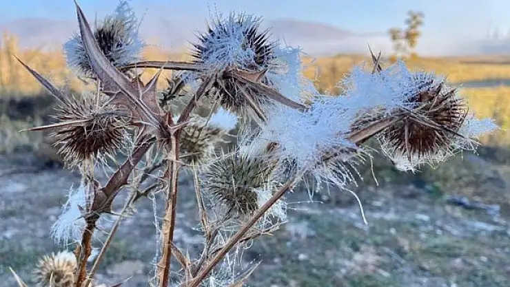 Ardahan'da soğuk hava nedeniyle sis, kırağı ve buzlanma oluştu