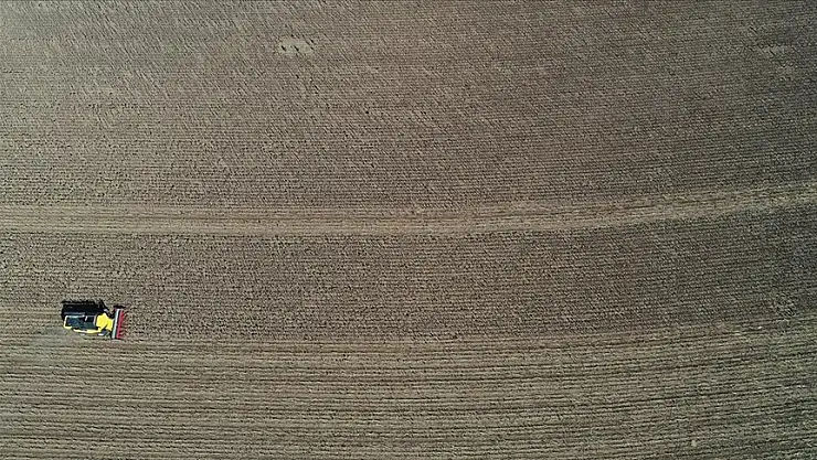 Ayçiçeğinden beklediği verimi alamayan Trakya çiftçisi hububat ekimi öncesi endişeli