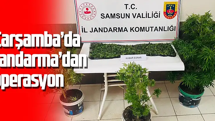Jandarma'dan operasyon