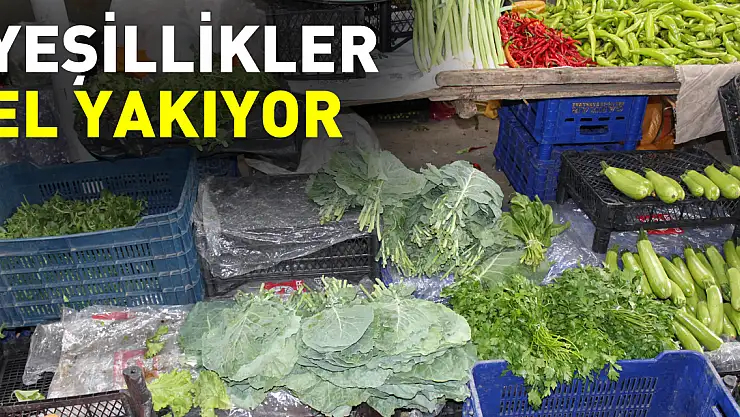 Yeşillikler el yakıyor