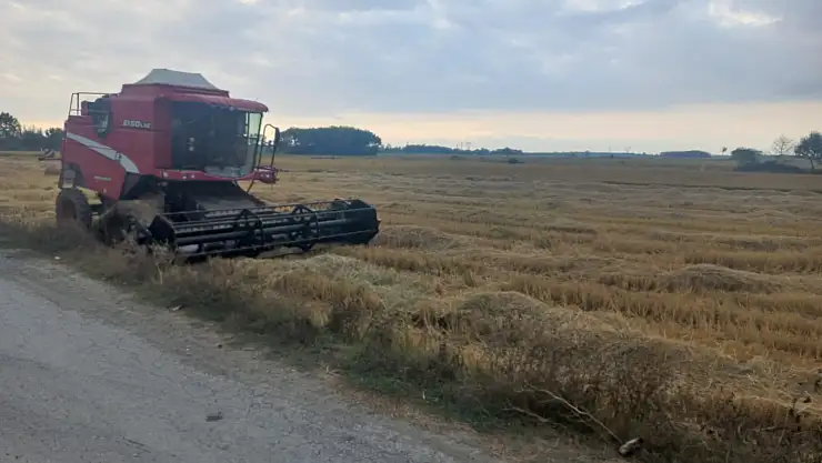 Alaçam'da çeltik hasadı başladı