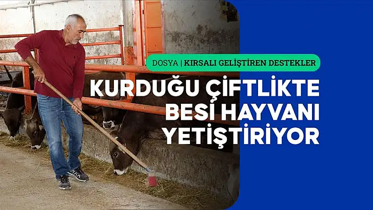 Sivaslı öğretmen TKDK desteğiyle kurduğu çiftlikte besi hayvanı yetiştiriyor