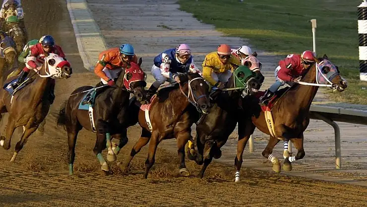 Gümüşhacıköy'de rahvan at yarışları düzenlendi
