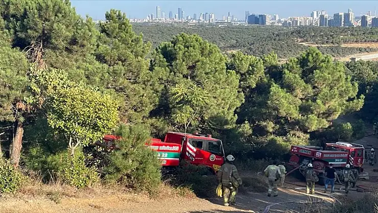 Sultangazi'de ormanlık alanda çıkan yangın kontrol altına alındı