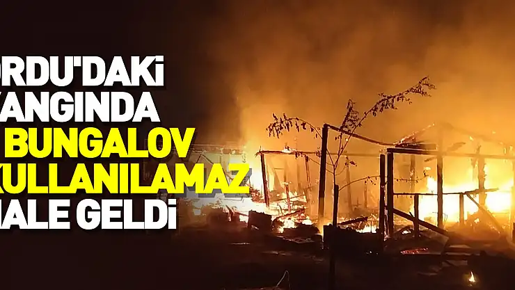 Ordu'daki yangında 7 bungalov kullanılamaz hale geldi