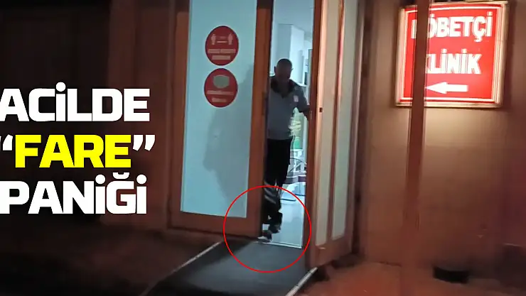 Acil polikliniğine giren fare panik oluşturdu