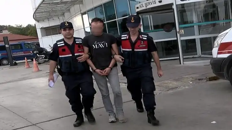 Silahla 3 büyükbaş hayvanı telef eden şahıs tutuklandı