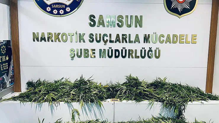 Samsun'daki uyuşturucu operasyonunda 3 zanlı yakalandı