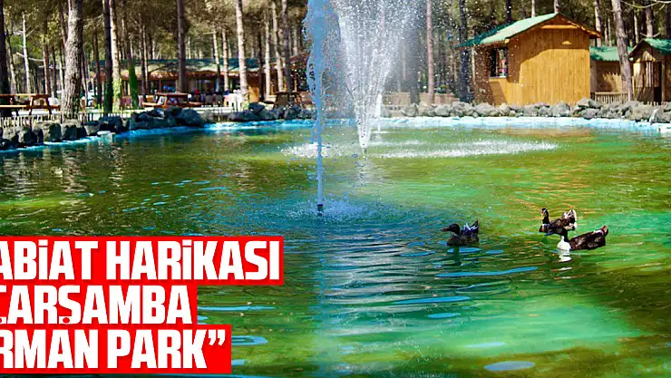 Tabiat harikası 'Çarşamba Orman Park'